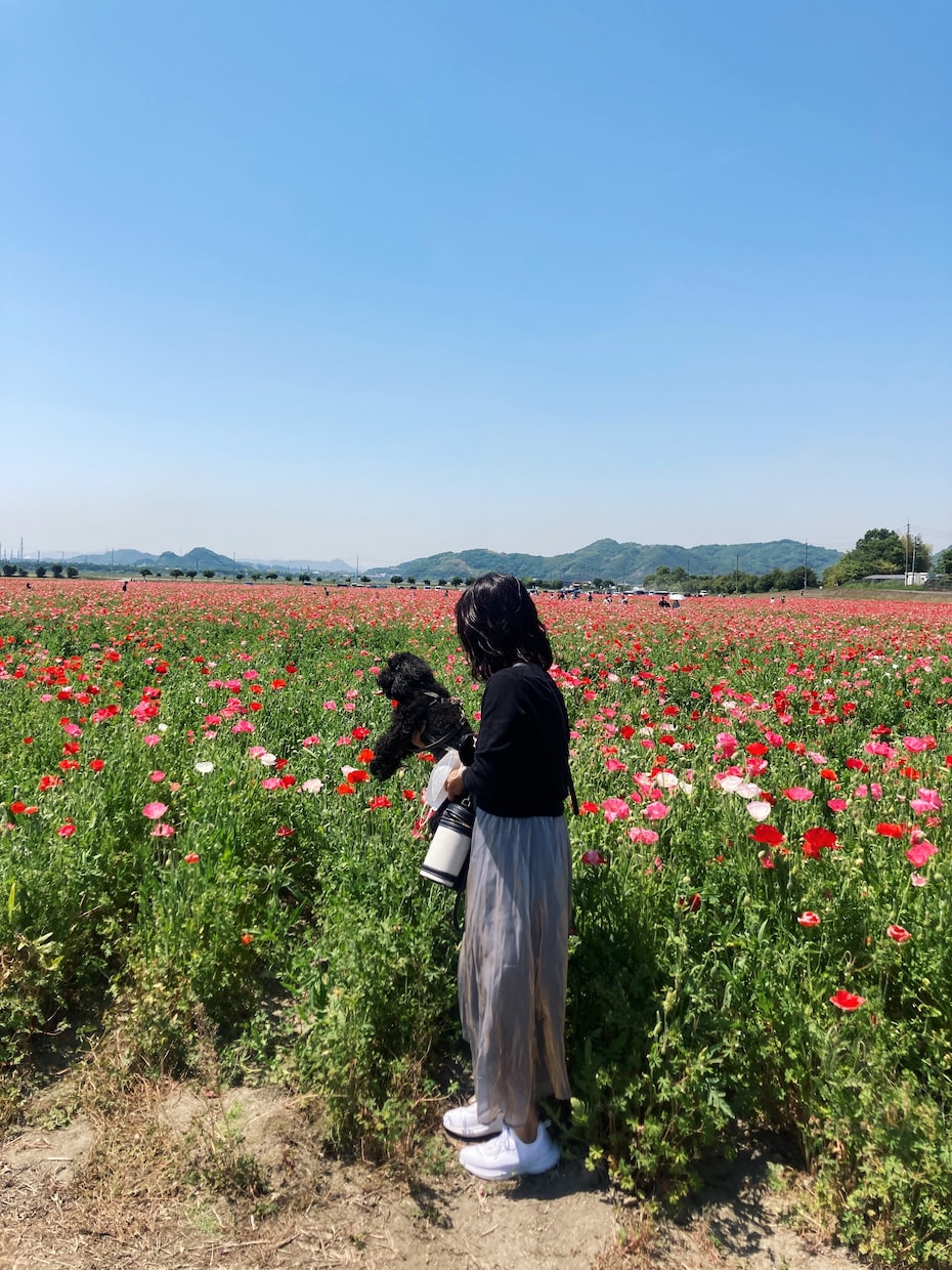 本気で結婚したい方へ婚活サポートができます ご自身の魅力を引き出し、婚活計画を一緒に立てていきましょう♪ イメージ2