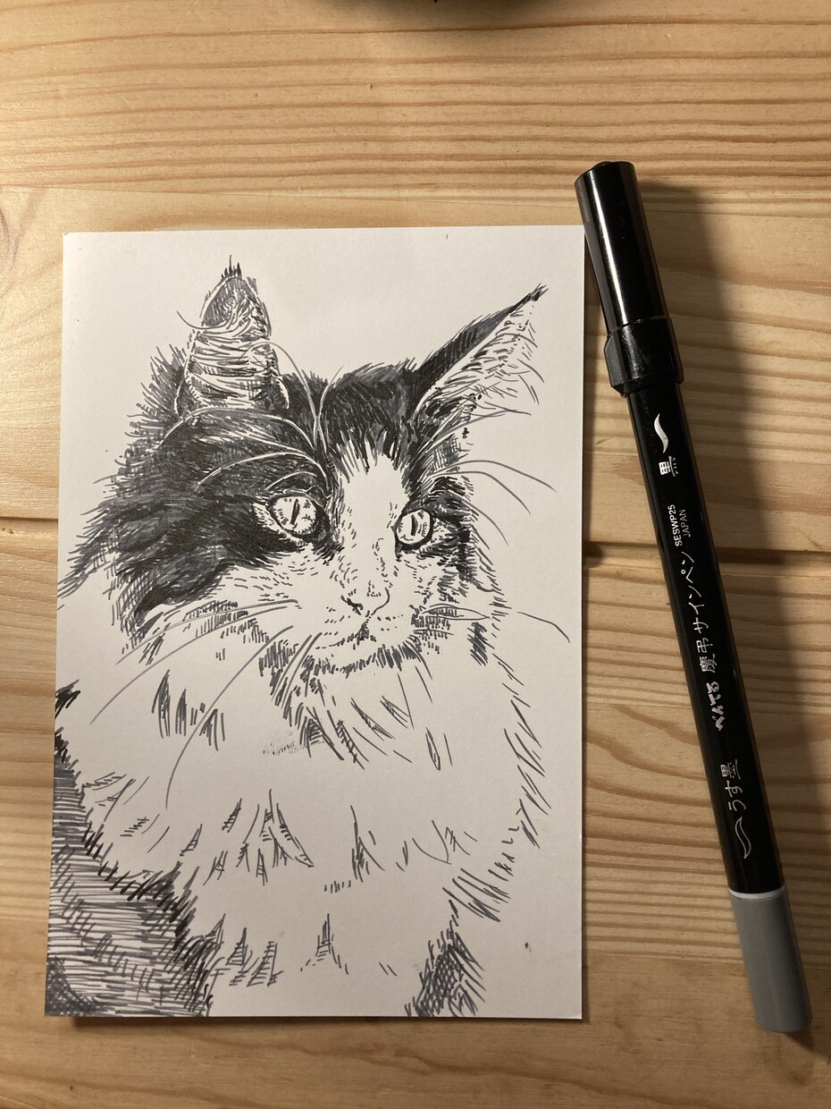 最初のご購入者様限定価格！ペン画ペットを作成します 世界に一点だけの絵ハガキ。現物をお届け！ イメージ4