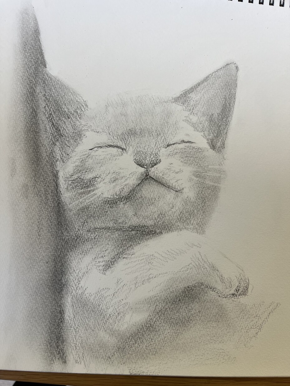 ペットと飼い主さんの似顔絵描きます 大切な子との思い出を絵に残しませんか？ イメージ2