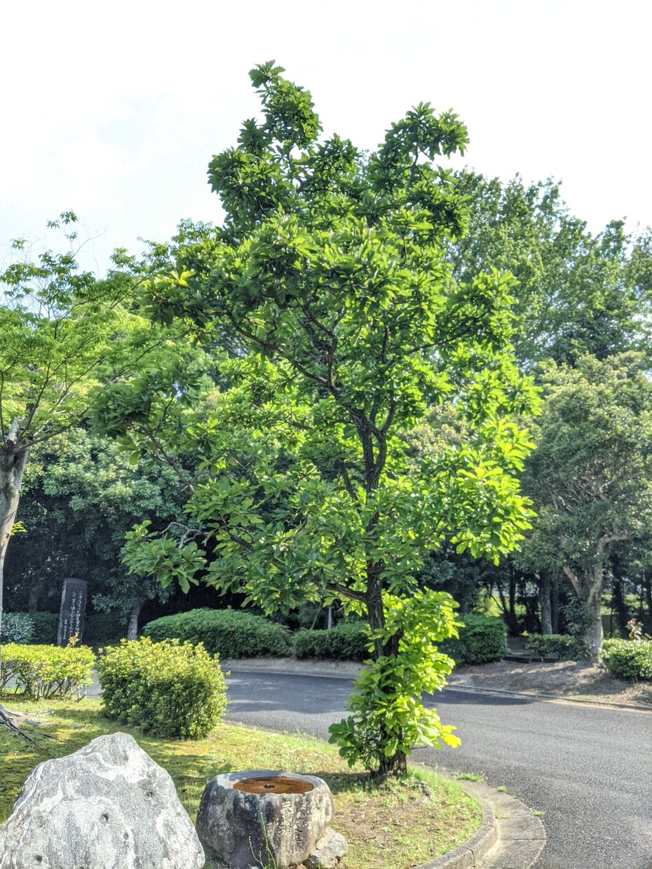お話を、聞かせて頂きます お話を聞かせて頂くだけ。心を寄り添わせて頂きます イメージ1