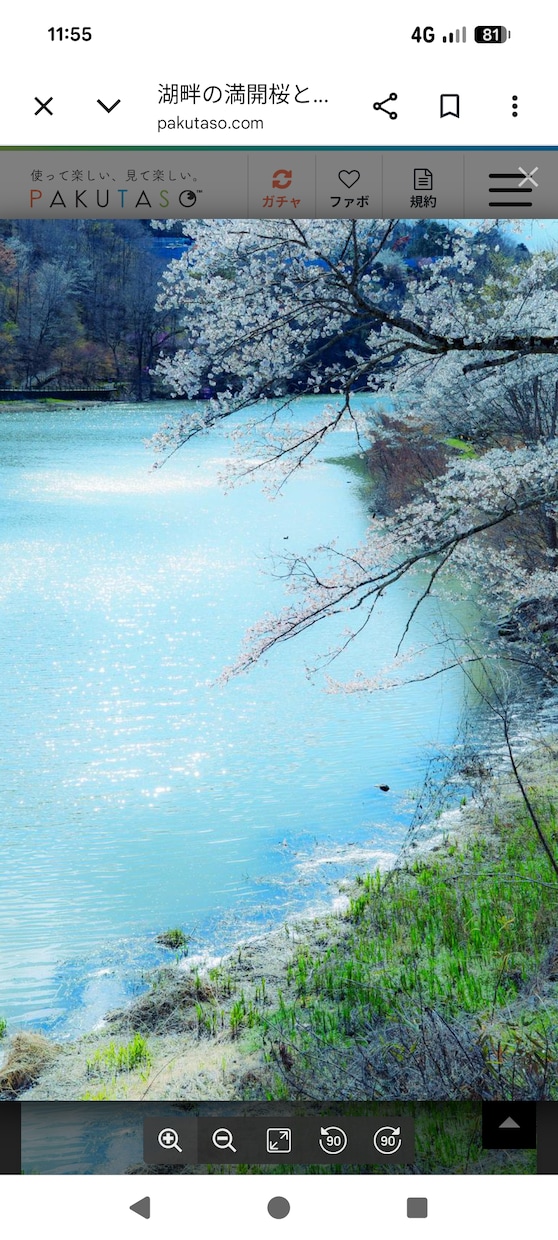 恋愛でお悩みの方をタロットで深掘り鑑定します 恋愛、片思い、復縁、複雑恋愛でお悩みの方、深掘り鑑定します イメージ6