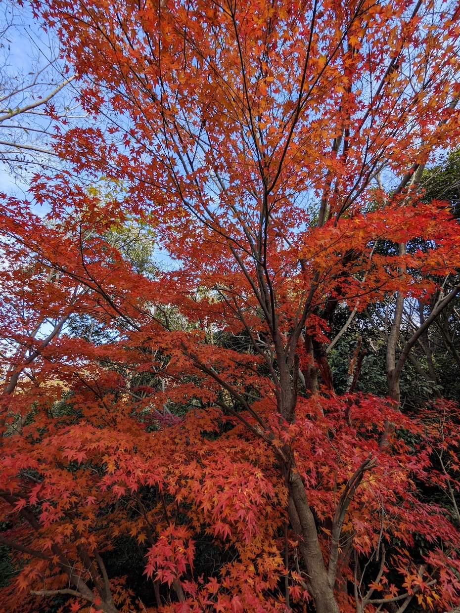 介護のお悩み鑑定いたします ☆現役介護福祉士がお悩みに寄り添います☆ イメージ1