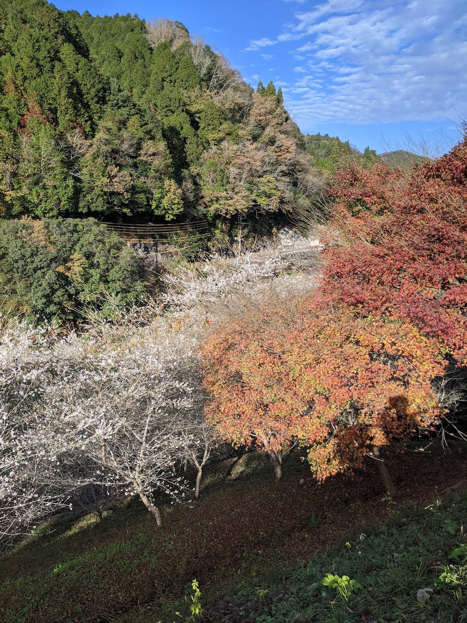 あなたの悩みや愚痴を聞きます 忙しいあなた★20分で気持ちを切り替えて次の作業へ取り組もう イメージ8