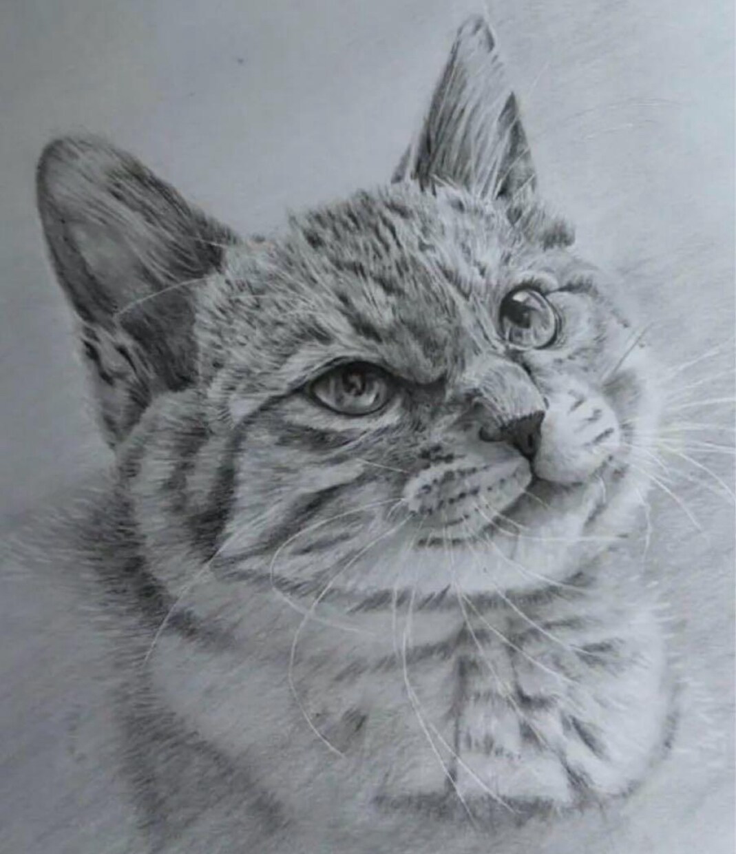 鉛筆画でペットのリアル似顔絵を手描きで作成致します 犬・猫を鉛筆で細部まで丁寧に描きます！ イメージ8