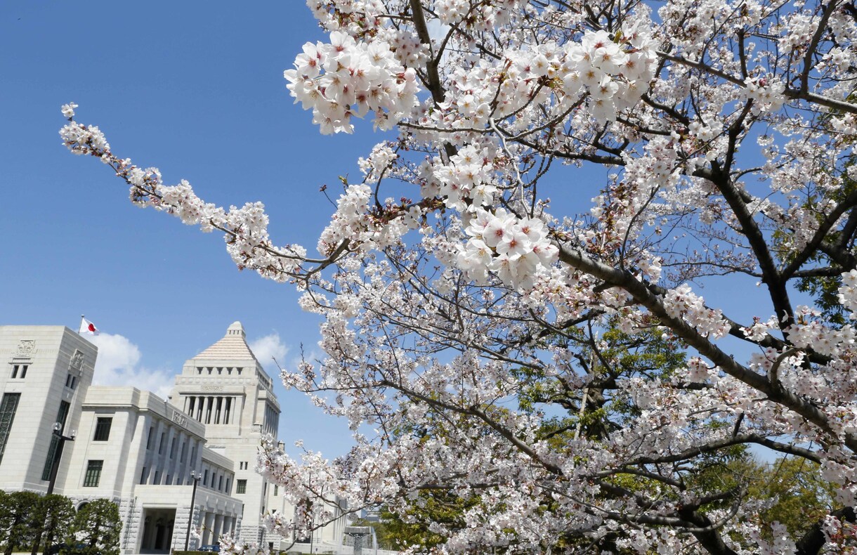 人物写真が得意でいろいろな撮影に対応します 人物撮影が得意で雑誌・新聞などで４０年以上の経験があります イメージ4