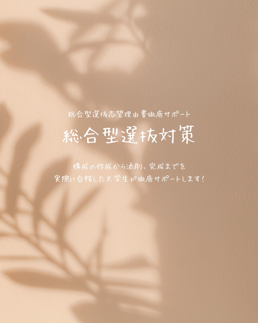 総合型入試対策をします 実際に総合型で合格した現役大学生が徹底サポート！ イメージ1