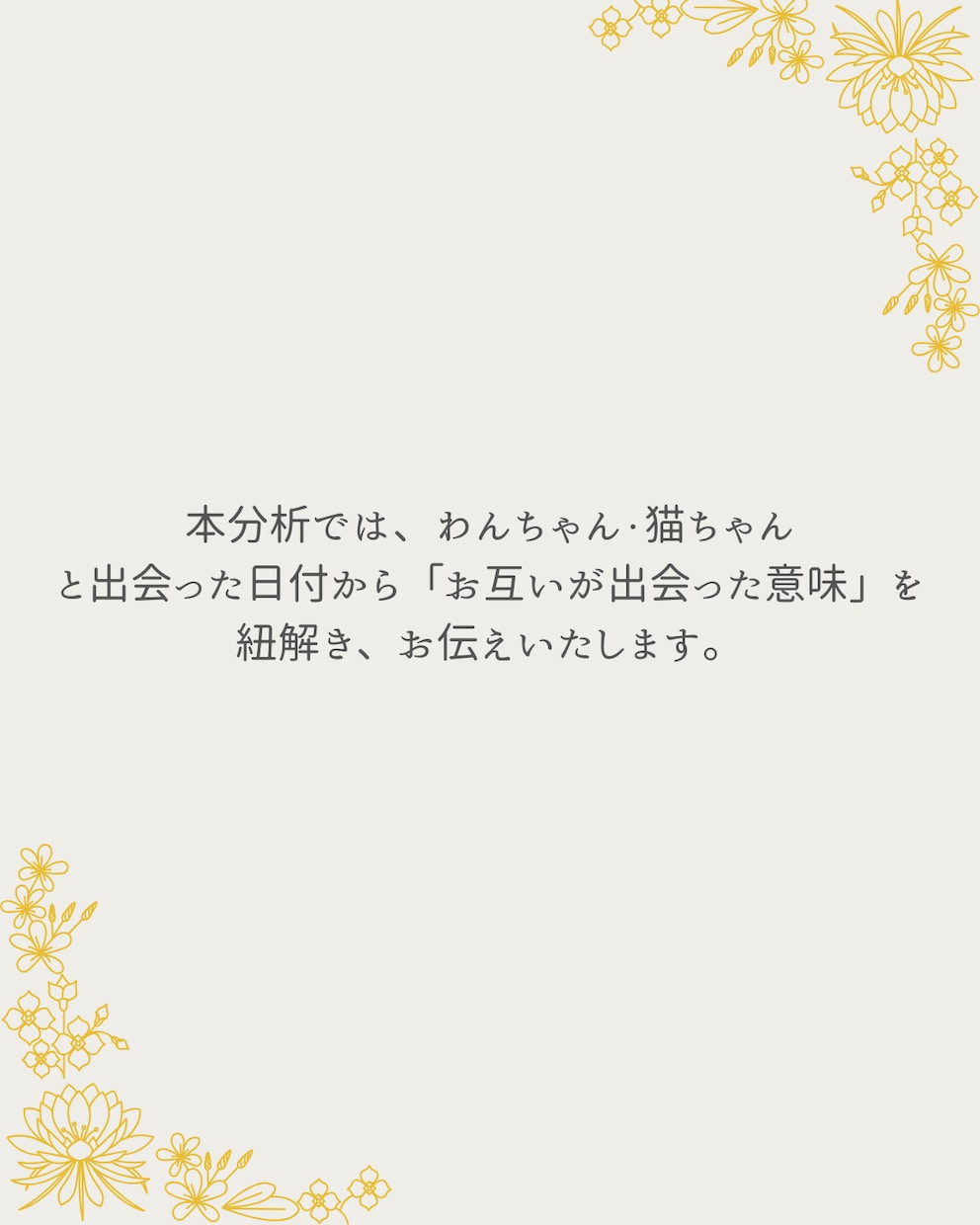 あなたと「うちの子」が出会った意味を読み解きます 出会えた意味や使命を知るだけでもっと愛おしくなる。 イメージ2