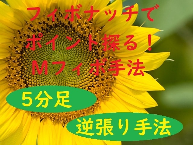 バイナリーオプション★フィボナッチの手法教えます 在宅副業★在宅ワーク★フィボナッチでポイント探るMフィボ手法 イメージ1