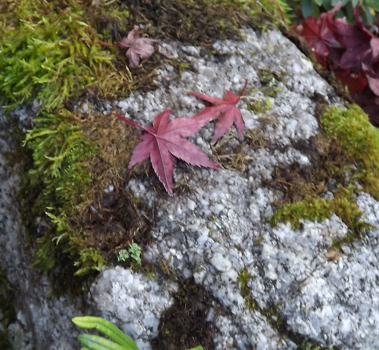 心が満たされる、おススメのアートスポットお教えます 美術館に行ってみたい、どこに行けばいいのか分からないあなたへ イメージ1