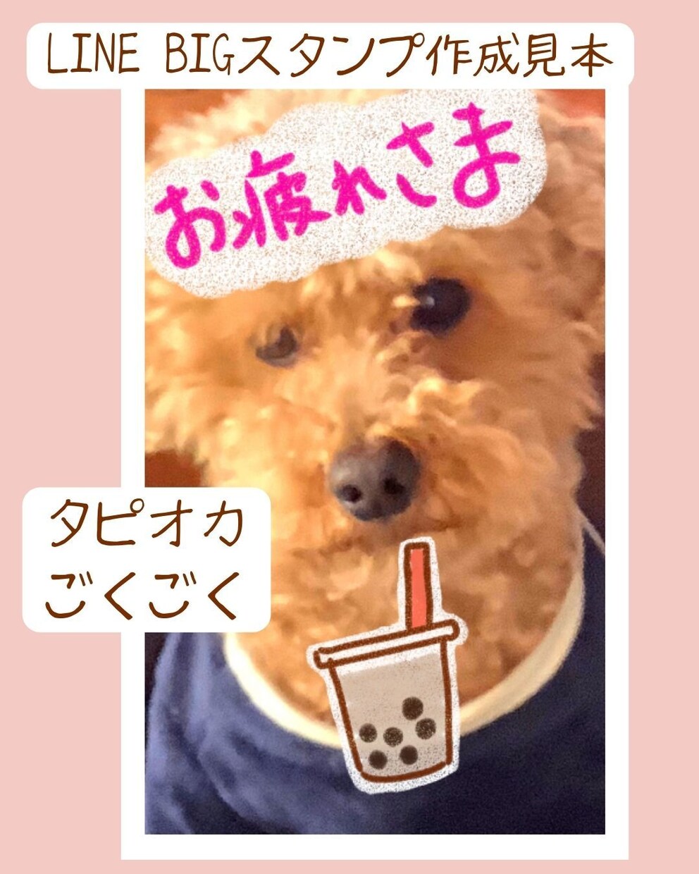 ペットのお写真でLINEのBIGスタンプ作成します スイーツのイラスト＆文字を写真に描いたスタンプになります イメージ3