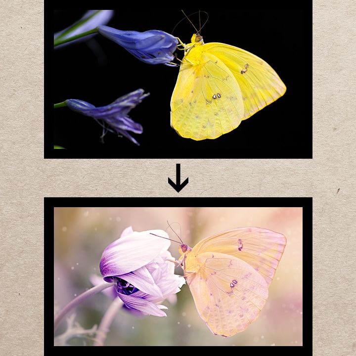 プロが写真のレタッチや合成をします ありえない世界をあるかのように！！！ イメージ3