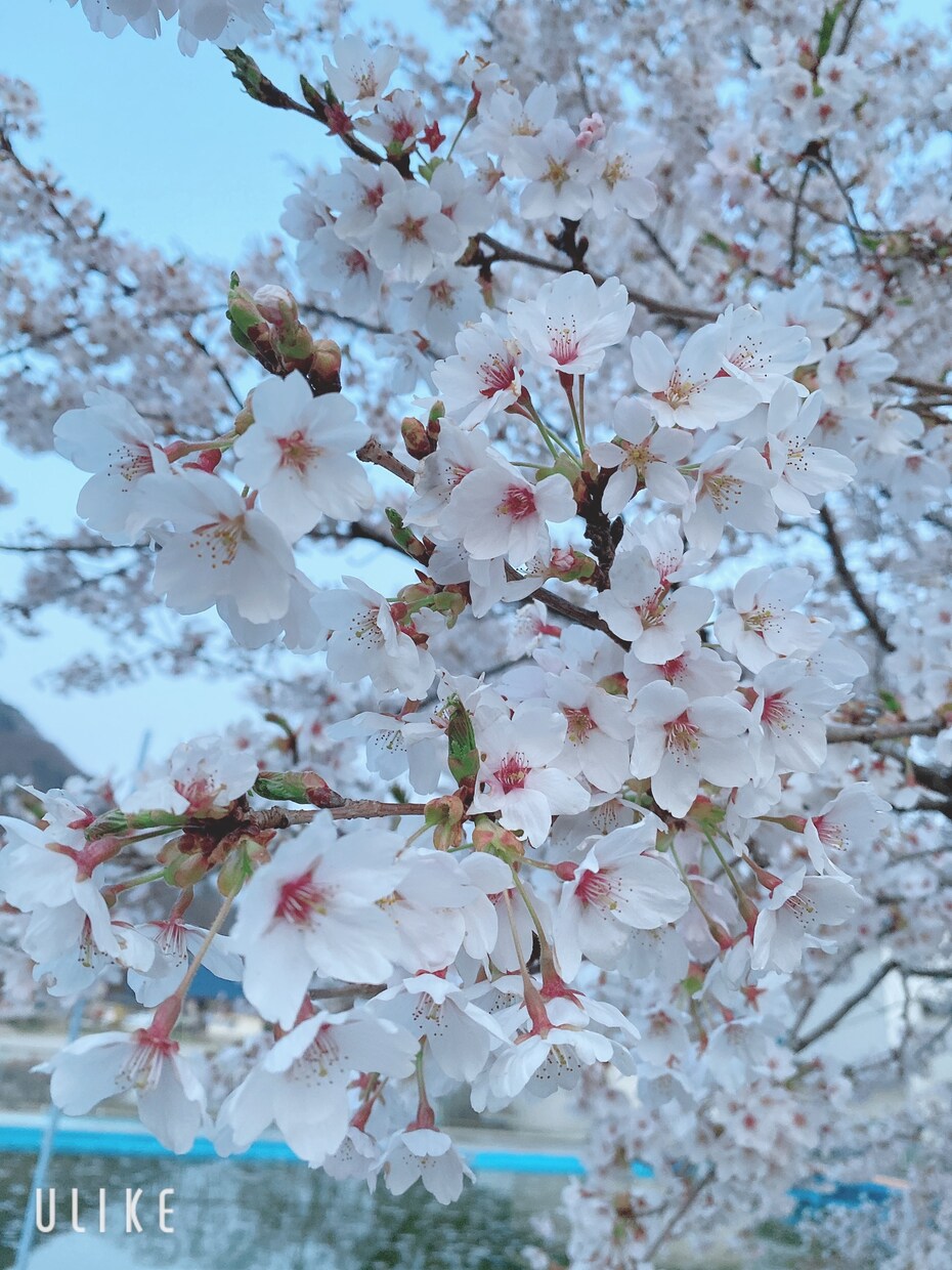 誰にも言えない悩み等ご相談受けます ＊秘密は絶対に守ります。気軽な気持ちで来てください♪ イメージ1