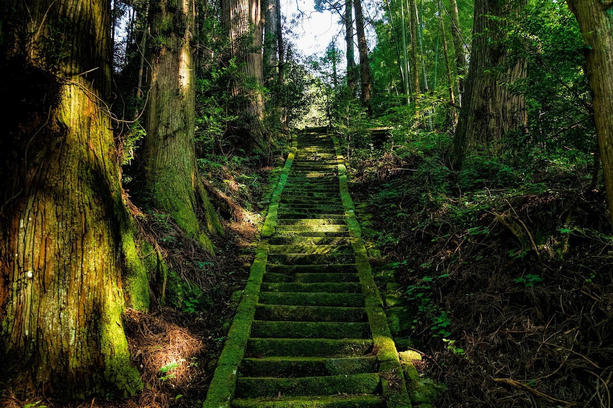 恋愛・仕事の人間関係全般◎相手の気持ちを鑑定します 1500字～｜片思い/復縁/結婚/不倫/浮気/秘密の恋愛等 イメージ7