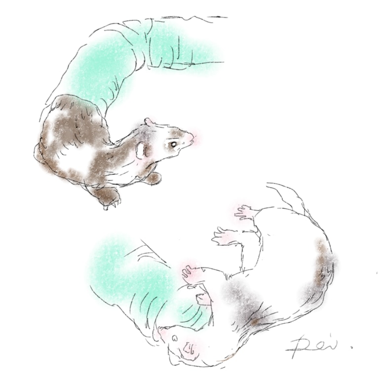 汎用性のある水彩風挿絵、カットイラスト制作します プレゼン資料、web,広告等、汎用性の高い挿絵イラスト イメージ10