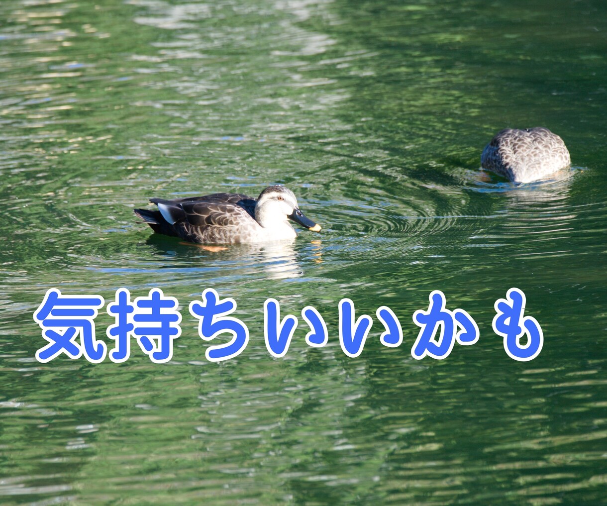 恋愛 初回・・初秋 愛の行方 奏でます 初回限定サービスです。リピーター様も、一回だけぜひとも♡ イメージ3