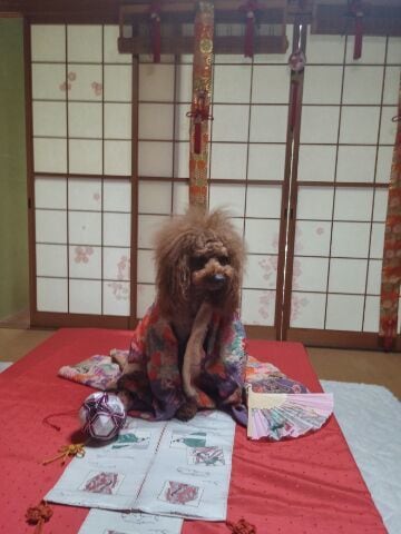のんびりおじさんおうえんします 人間誰でもイライラも落ち込みもあるから自身の心を大切に イメージ3