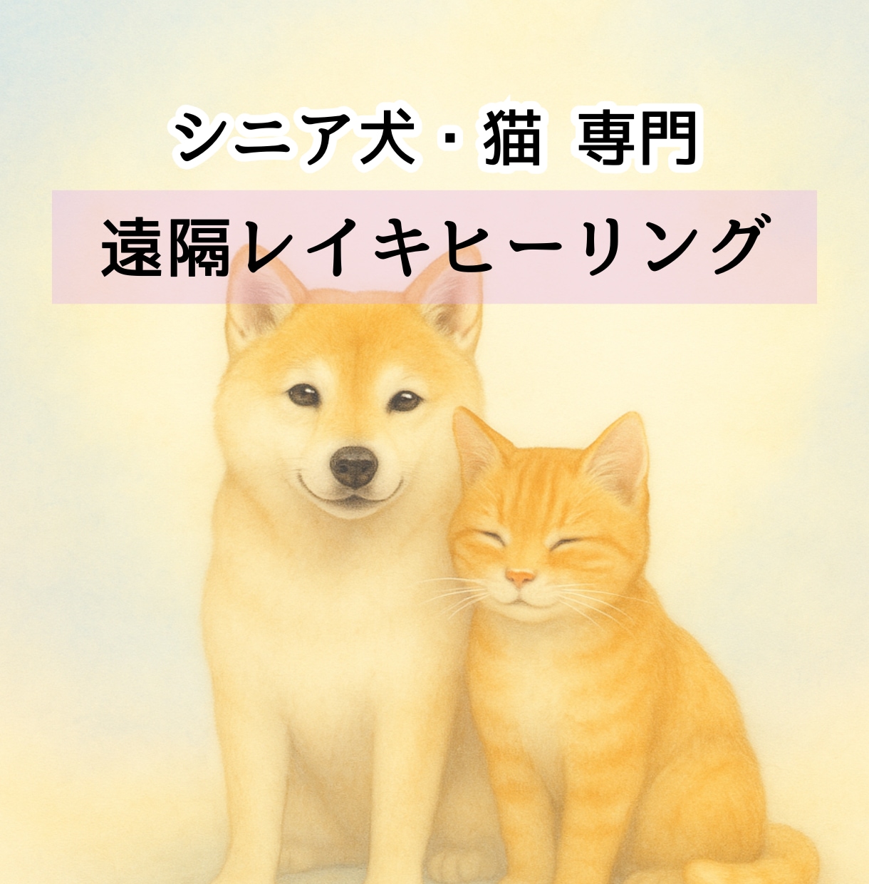シニア犬猫専門｜遠隔レイキヒーリングをお届けします 高齢のわんちゃん・ねこちゃんのための優しいヒーリングケア イメージ1