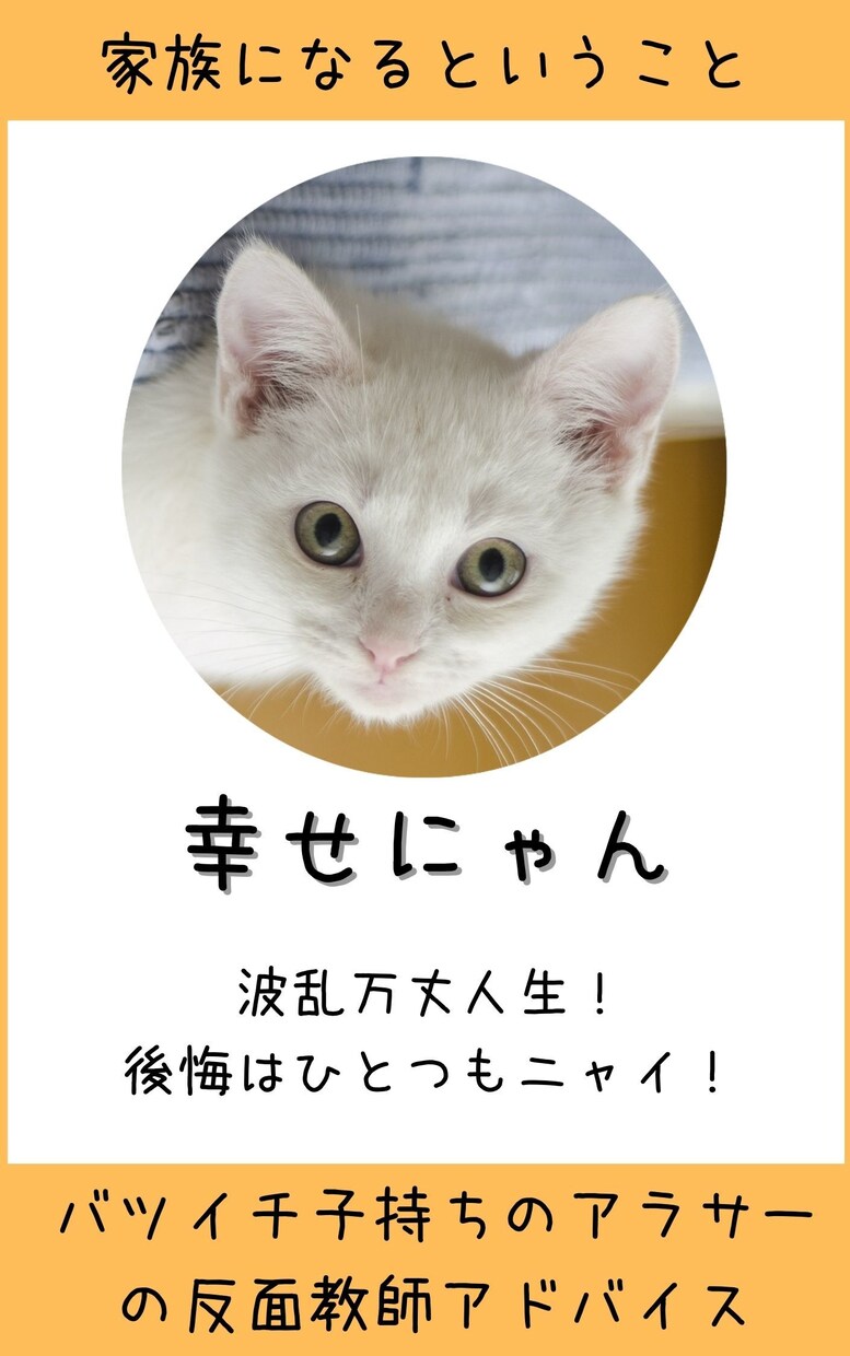 電子書籍出版「丸ごとおまかせパック」受け付けます ❗️プロにすべてお任せ❗️魅せるAmazon電子書籍作ります イメージ6