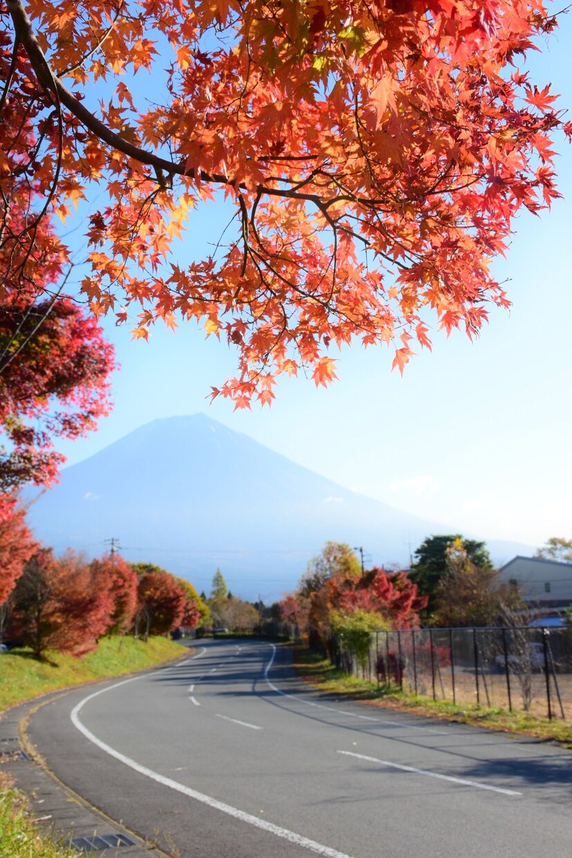 富士山の様々な写真を出品します 四季折々の富士山の写真！お気に入りの富士山見つかりますように イメージ2