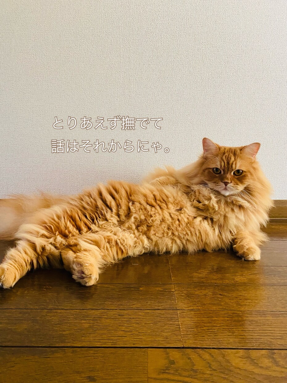 ひと息つきたい時、お話相手になります 「1分だけ」「少し聞いてほしい」も大歓迎♪ イメージ7