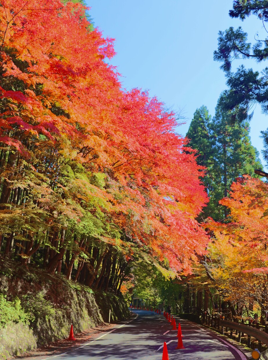 岡山の旅行プランを作成します あなただけの旅行プランを地元民がご提案します！ イメージ5