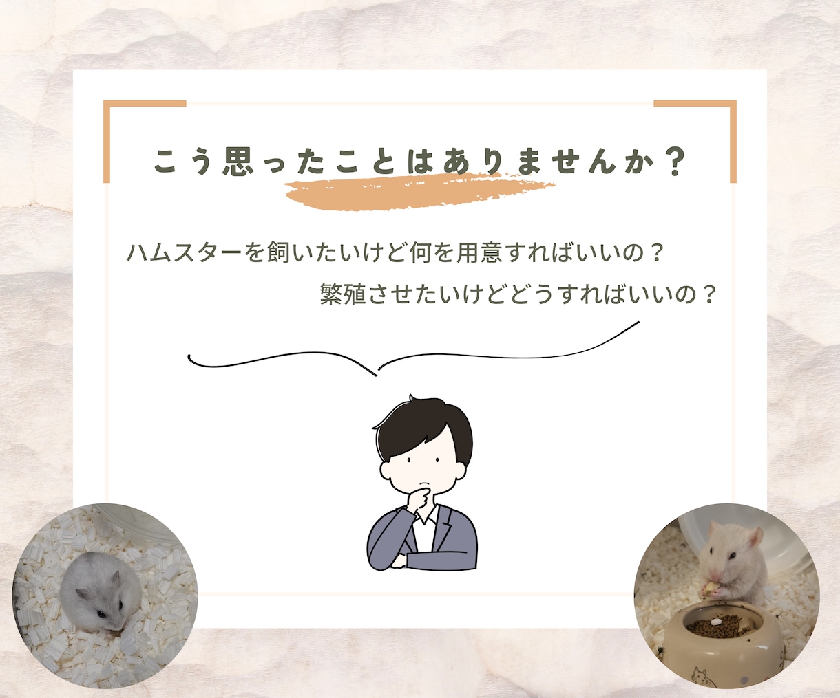 ハムスターの飼育の相談受け付けてます 14匹のハムスターを飼育した経験を伝授！ イメージ2
