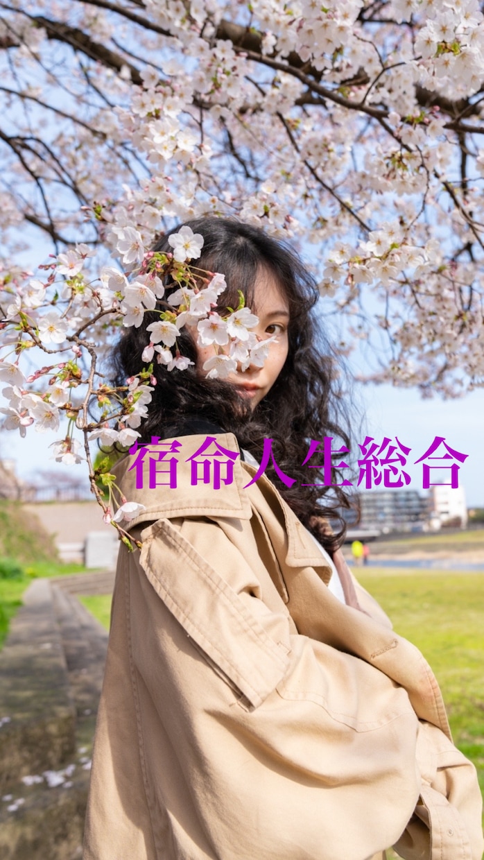 宿命人生総合　今の貴方に必要なメッセージ送ります 透視×命術　リピーター様の8割が主婦、OLさんです。 イメージ1