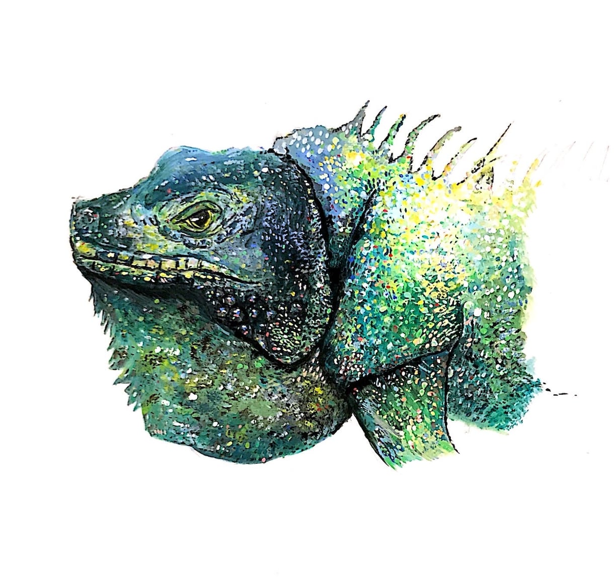 挿し絵やアイコンなどを描きます できるだけ、カラフルに仕上げます。 イメージ1