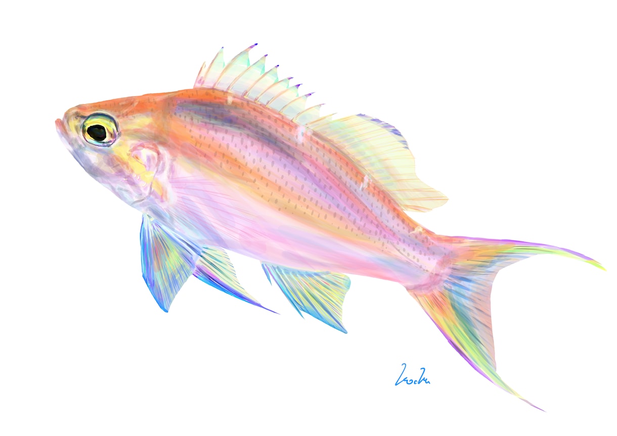 綺麗でリアルよりな魚の絵を描きます いい感じの魚の絵を気軽に頼んでみたい方へ