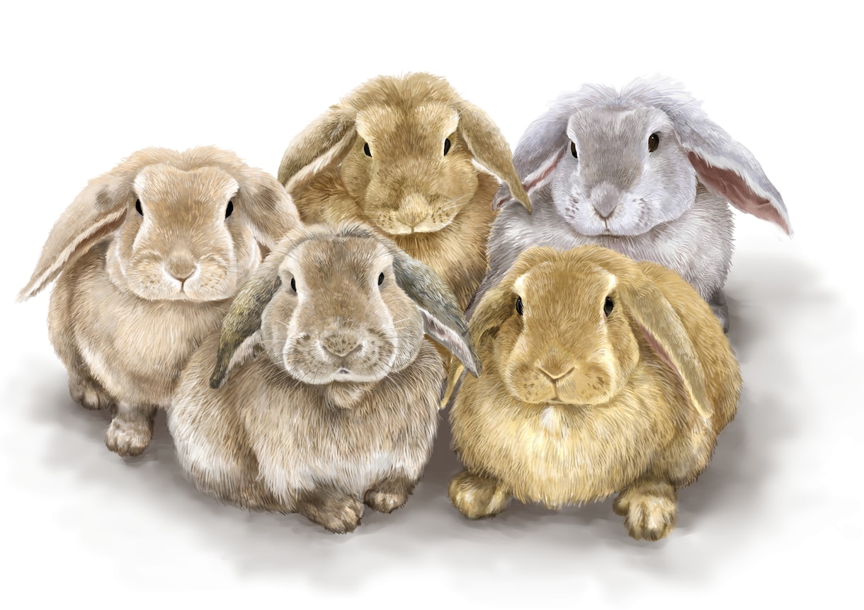 ペットの似顔絵をどんな画風イラストでも描きます 大好きなペットをグッズ化・印刷して壁に飾る・プレゼントなど イメージ9