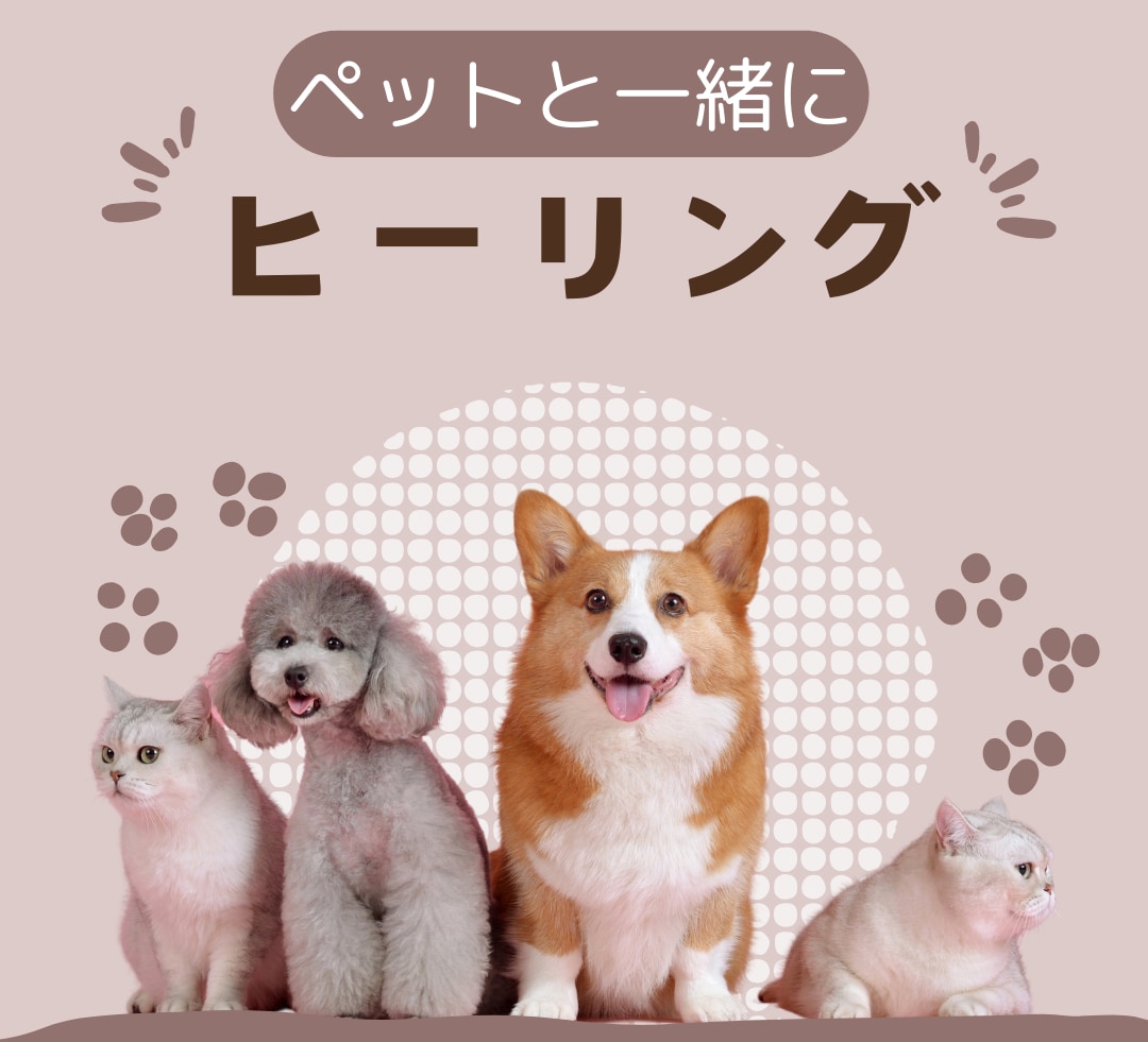 大切なペットちゃんと飼い主様をご一緒に癒します 【レイキヒーリングで仲良くリラックス】至福の３０分♡ イメージ2