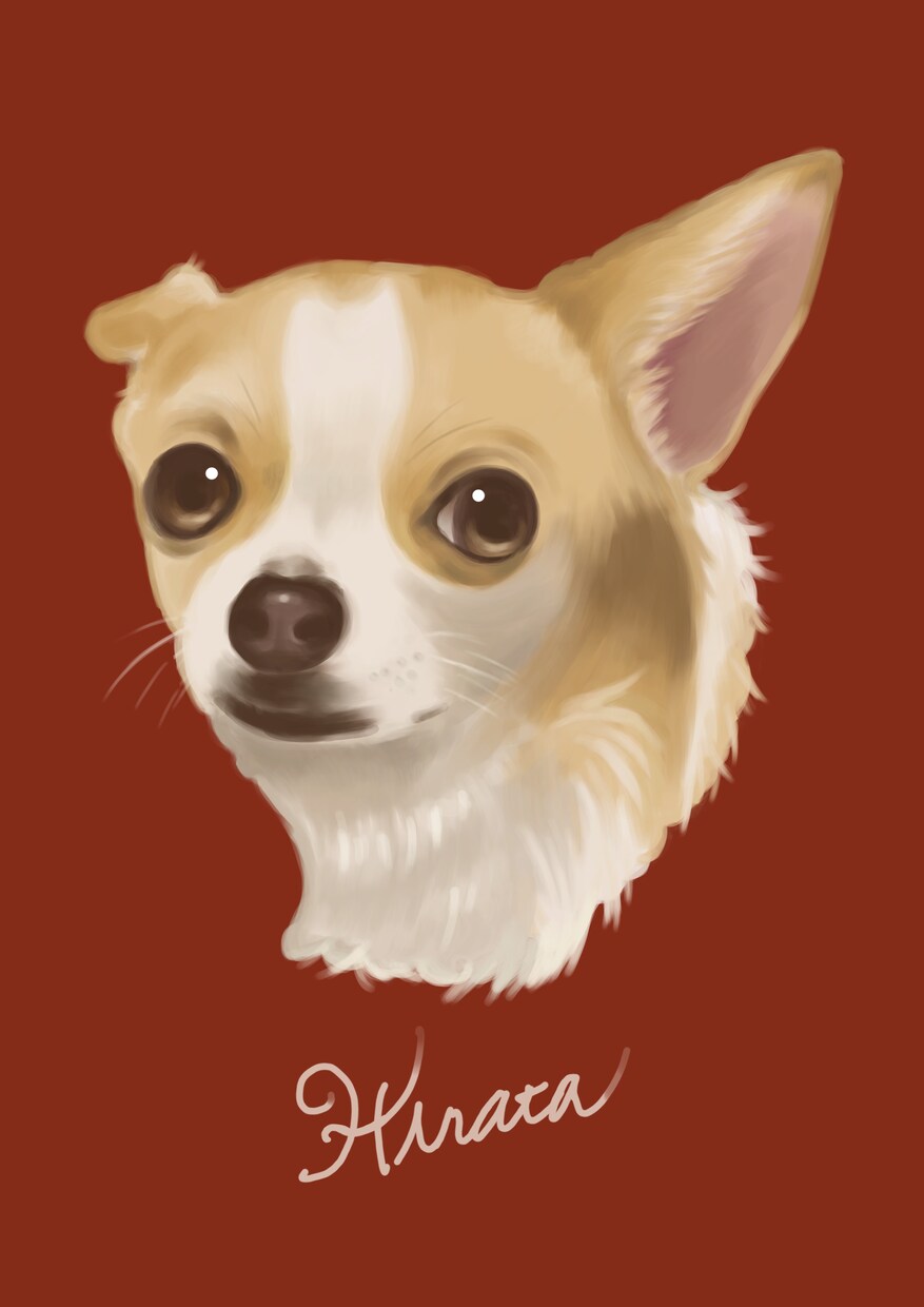 デジタル手描きでペットのイラストお描きします 写真とは違った癒しを＊生粋の動物好きがお描きします イメージ3