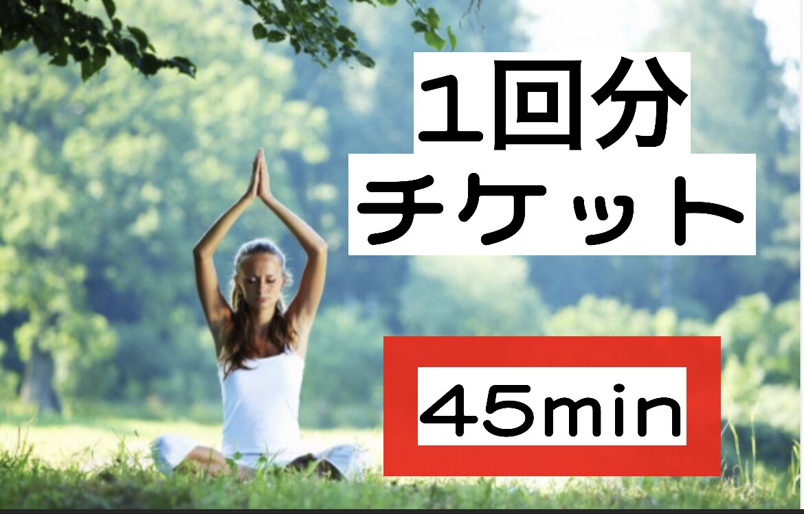 パーソナルレッスン45minをします あたなにあったオリジナルレッスン(45分)をお届けします！ イメージ1