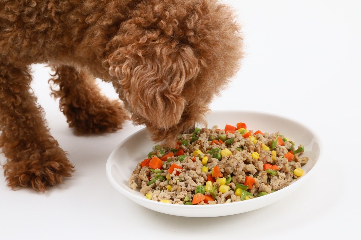 犬・猫の手作りフード教えます 動物管理栄養士が教える僕・私のご飯 イメージ1