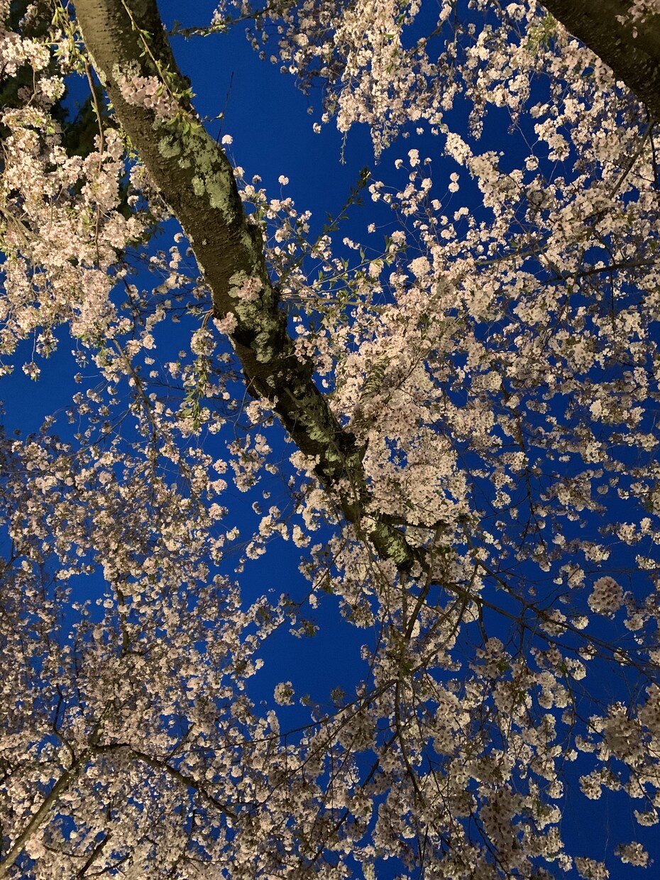 仕事恋愛家庭人間関係　愚痴、お悩み相談聞きます 身近な人には話せないこと、話しにくいことなんでもききます！ イメージ1