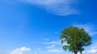 ブロック解除のヒントになる年齢と関係者お伝えします 【リピーター&感想寄稿許可限定】モヤモヤ解消したい方へ イメージ1