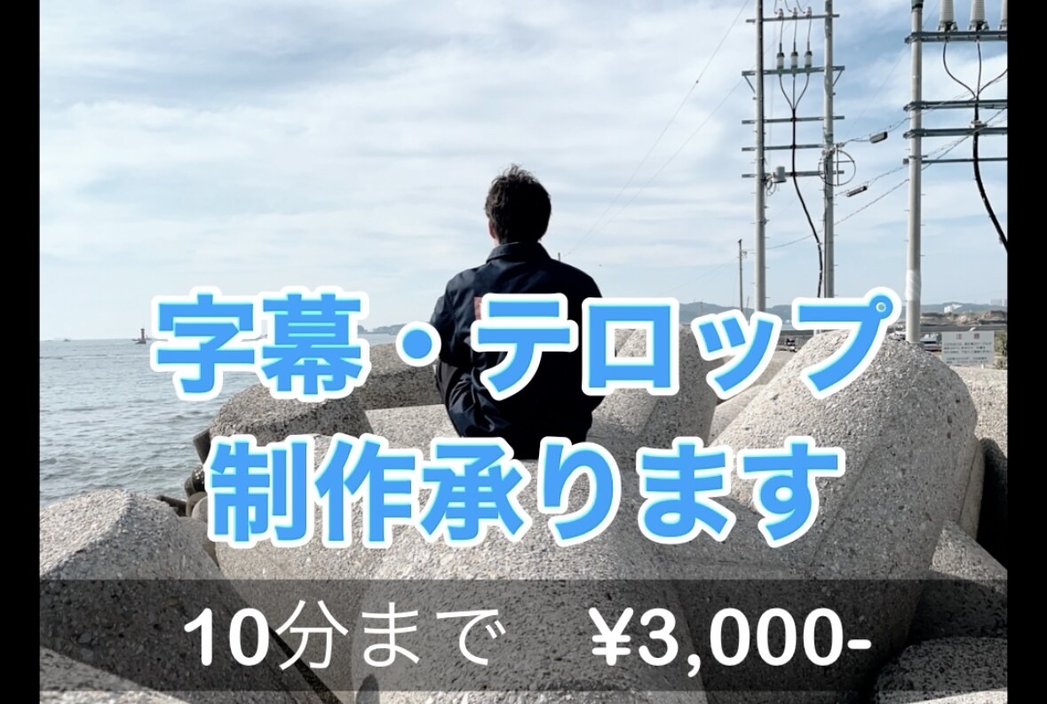 YouTube動画向けの素材に字幕をつけます 視聴者さんにより伝わる動画にするためのお手伝いします イメージ1