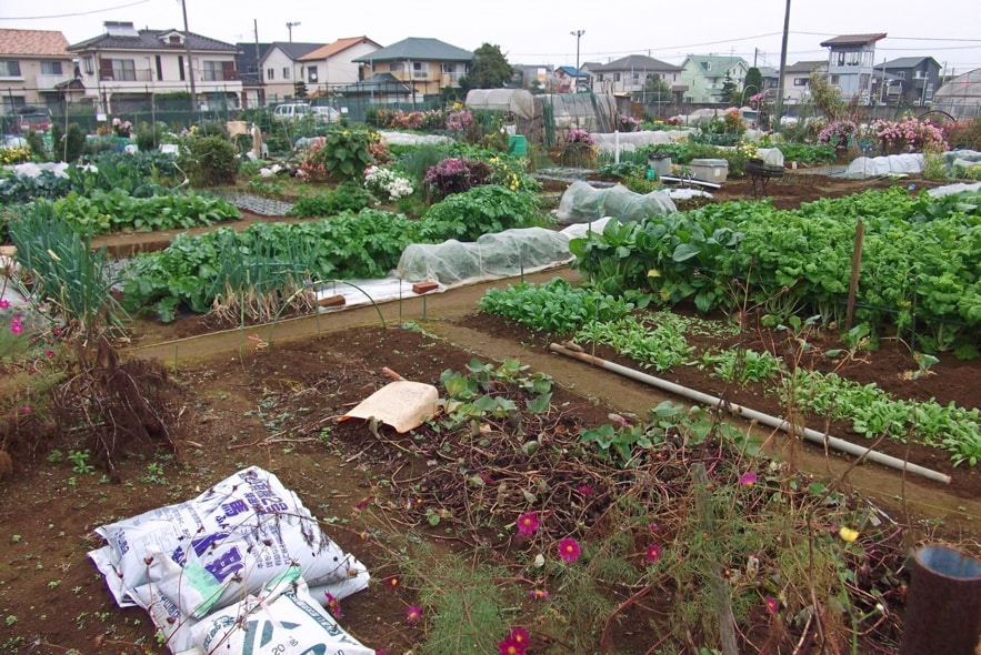 趣味の園芸や機械化のお手伝いします 特に機械を利用した園芸が得意です！ イメージ2