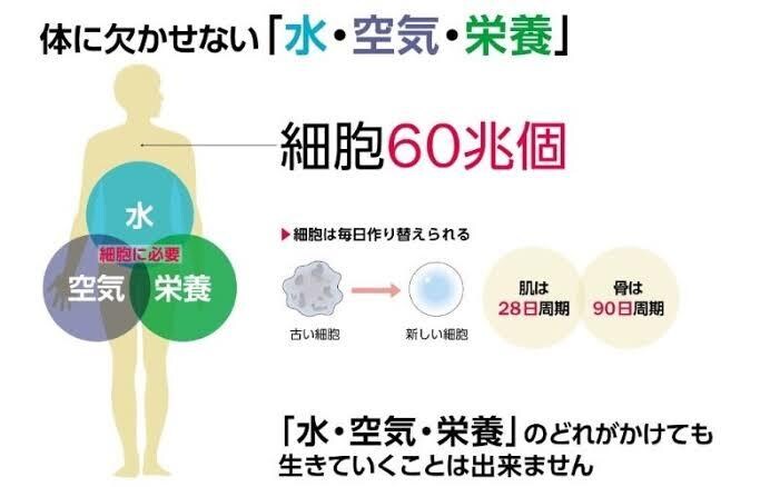 腸活、体質改善のやり方を教えます 健康の入り口は腸活、健康のシートベルトは体質改善 イメージ2