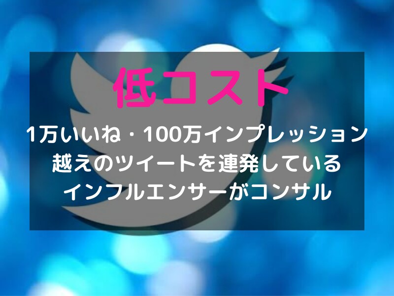 Twitter運用を３０日間コーチングします プロマーケターによるTwitter運用コーチング イメージ8