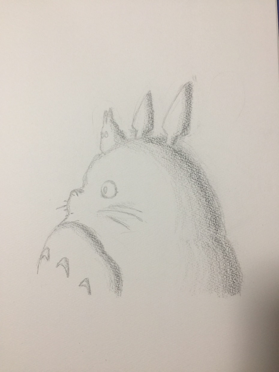 写真そのままえんぴつで模写します 色塗りだけやりたいかた！下書きだけやってほしいかた！ イメージ1
