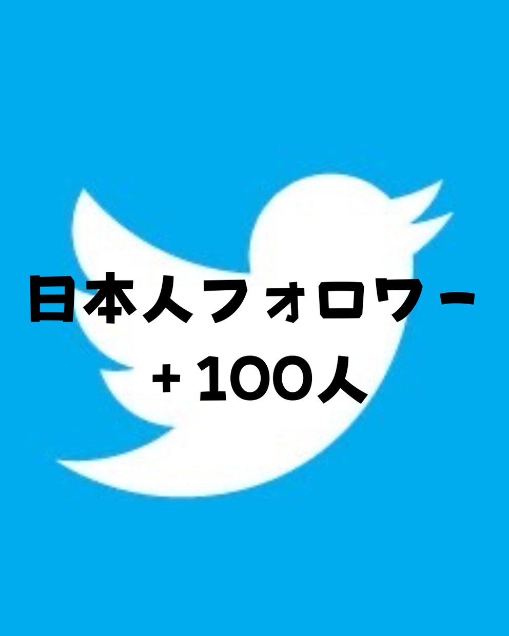 Twitterのフォロワー100人増やします アクティブフォロワーが増えます！ イメージ1