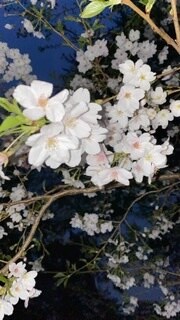 日常の愚痴イライラ聴きます 介護や近所付き合い、頭に来た事や気が滅入りそうな事 イメージ2