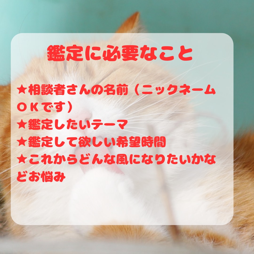 恋も仕事も即解決✨リアルタイムチャット占い致します 定期購入可★30分占い放題✨運命が変わる神託の時間 イメージ3