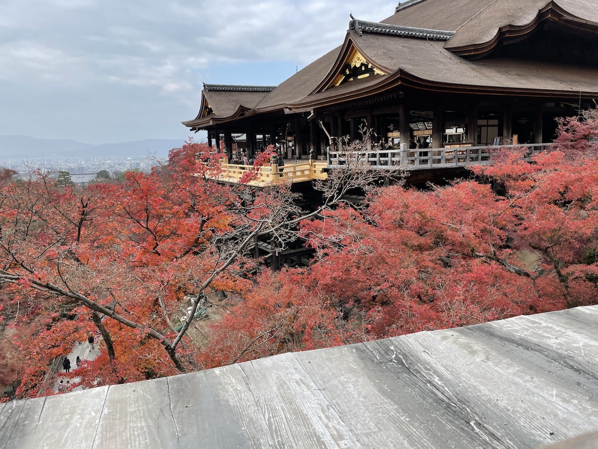 お得に旅行に行くご相談受けたまります 旅行のお得な最新情報をサービスをご提案させて頂きます。 イメージ2