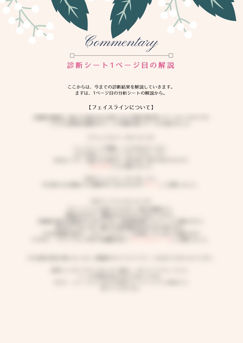 骨格診断・顔タイプ診断であなたの魅力をアップします あなただけの診断書を作成！10ページ以上のボリューム！ イメージ9
