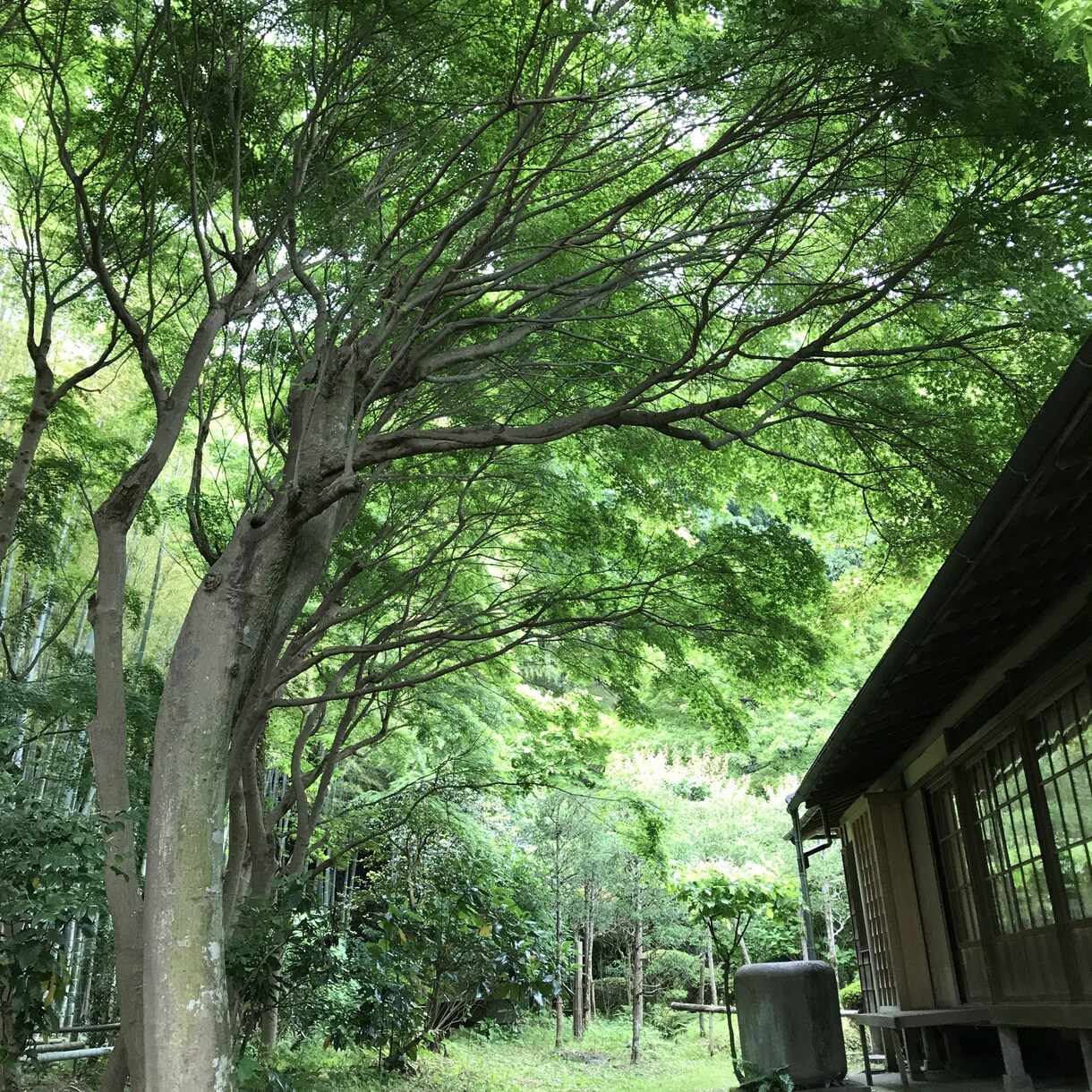 誰かと話したい！温かく、優しくお話し聞きます 雑談、愚痴、恋愛、職場、家庭の話どんな内容でも✨ イメージ8