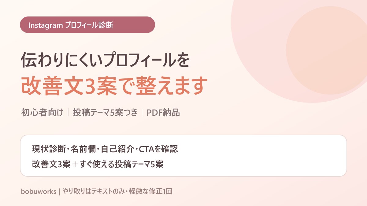 インスタ初心者のプロフィールを診断します 改善文3案と投稿テーマ5案をPDFで納品 イメージ1