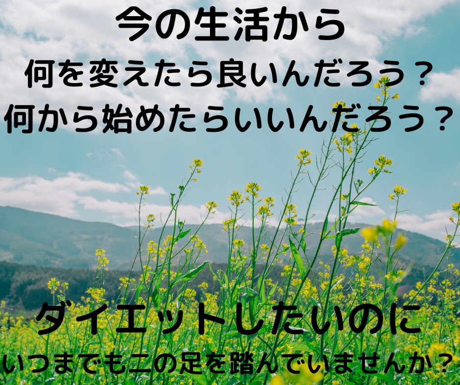 ダイエット相談！あなたに合わせたアドバイスします 心も身体も元気に♡凹みやすい人でも大丈夫！ イメージ2