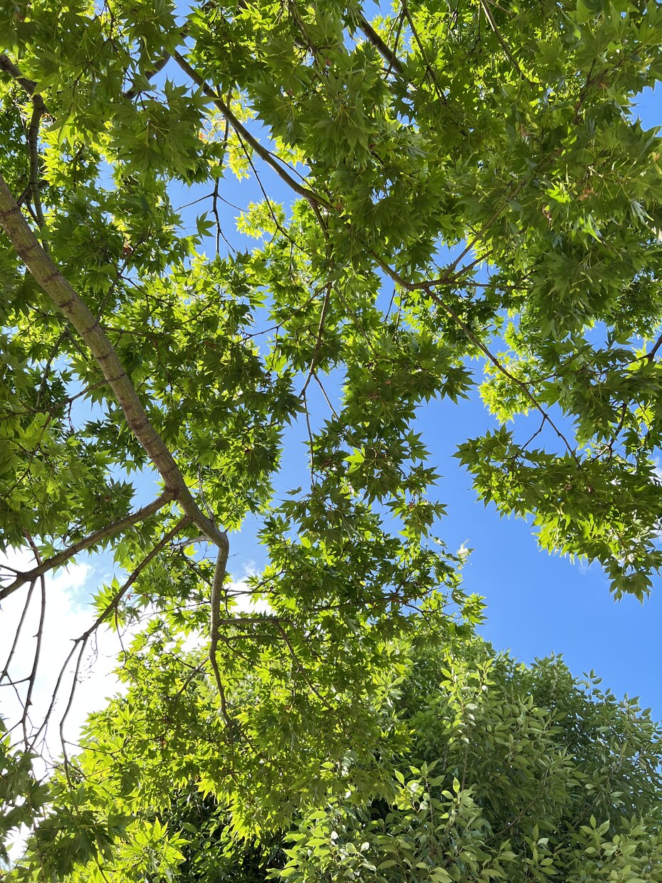 誰かに読んで欲しいを叶えます あなたが書いた小説ならどんな小説でも読みます。 イメージ1